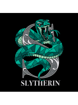 Slytherin Charm - Harry Potter Official Hoodie