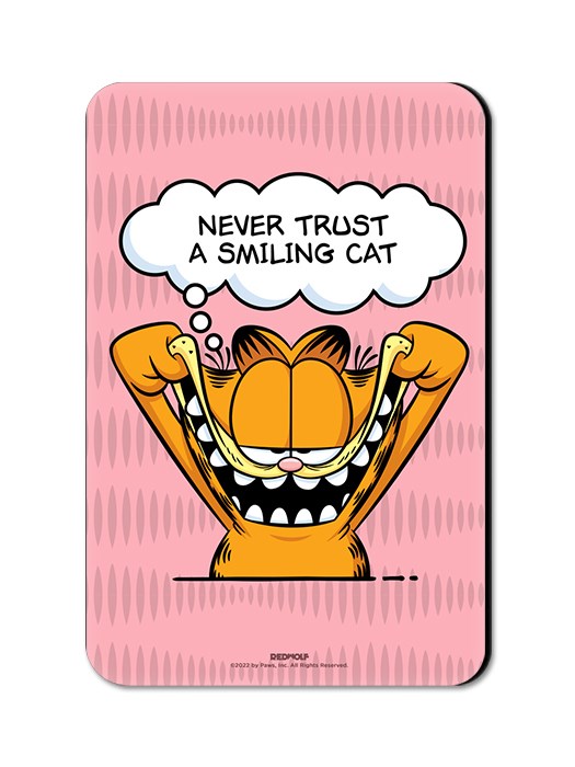 Smiling Cat - Garfield Official Fridge Magnet