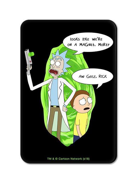 Looks Like We Are On A Magnet - Rick And Morty Official Fridge Magnet