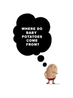 Bingo! Baby Potatoes (White)
