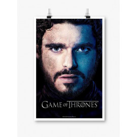 Robb Stark - Game Of Thrones Official Poster