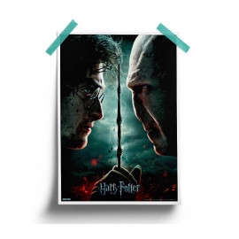 Harry vs Voldemort - Harry Potter Official Poster