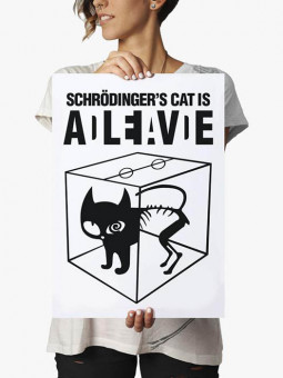 Schrodinger's Cat - Poster