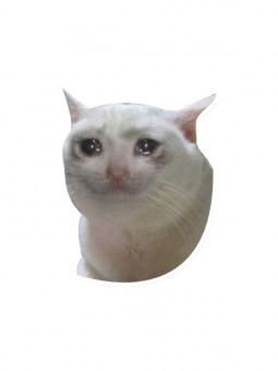 Crying Cat - Sticker