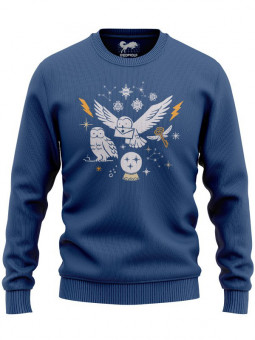 Holiday Owl Messenger - Harry Potter Official Pullover